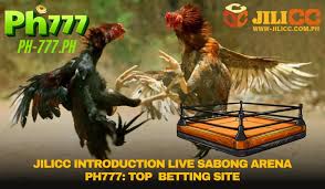 Top Sports Betting Site in the Philippines – Jilicc